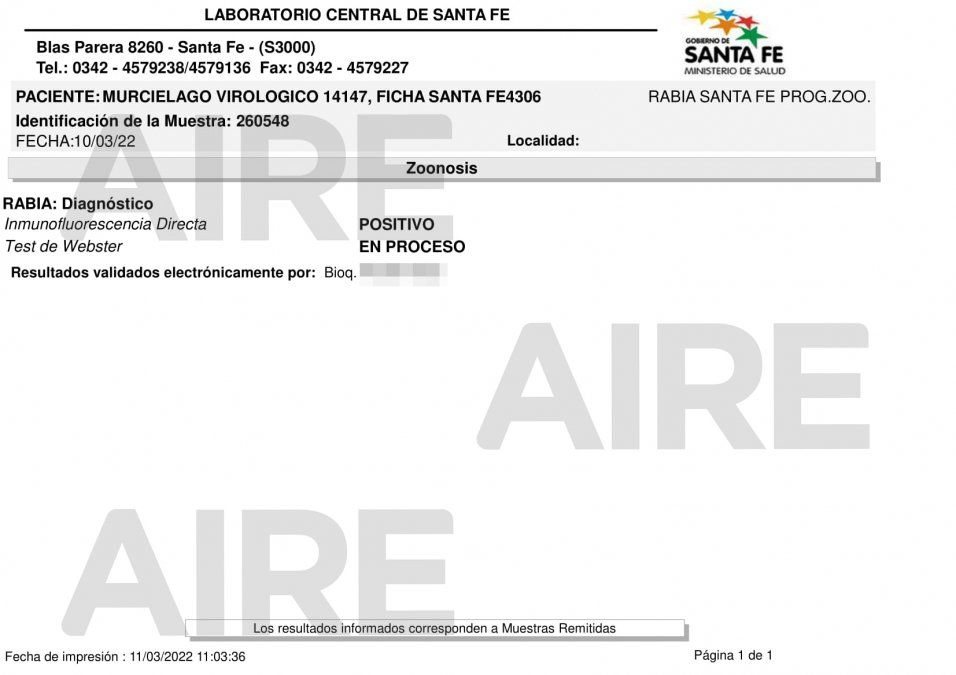 El resultado del análisis practicado al murciélago encontrado en una de las oficinas del ex Hospital de Niños: positivo en rabia.