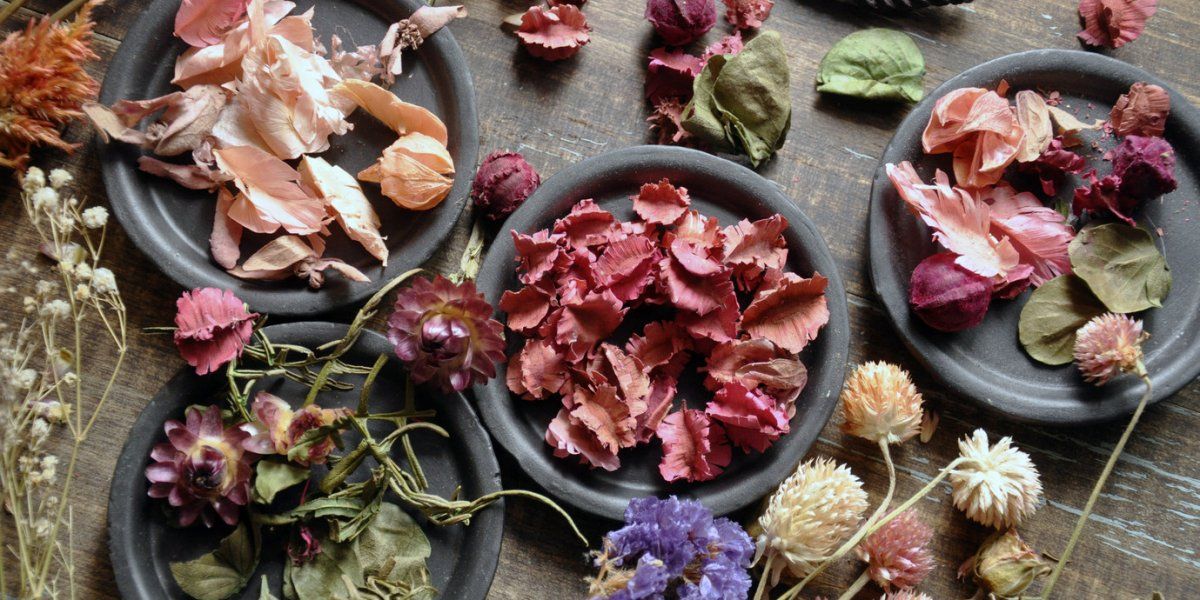 Descubrí las mejores maneras de decorar tu hogar con flores secas.