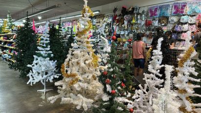 Cuánto cuesta armar el arbolito de Navidad: opciones para todos los bolsillos en Cotillón Fiesta en Santa Fe