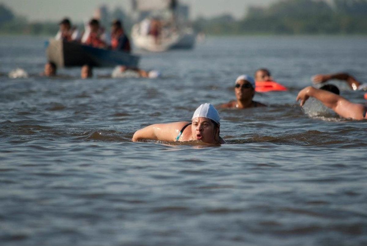 Tiburones del Paraná