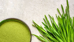 Superalimento milenario la espirulina se consolida como el suplemento clave para mejorar la salud del corazón y combatir la fatiga.