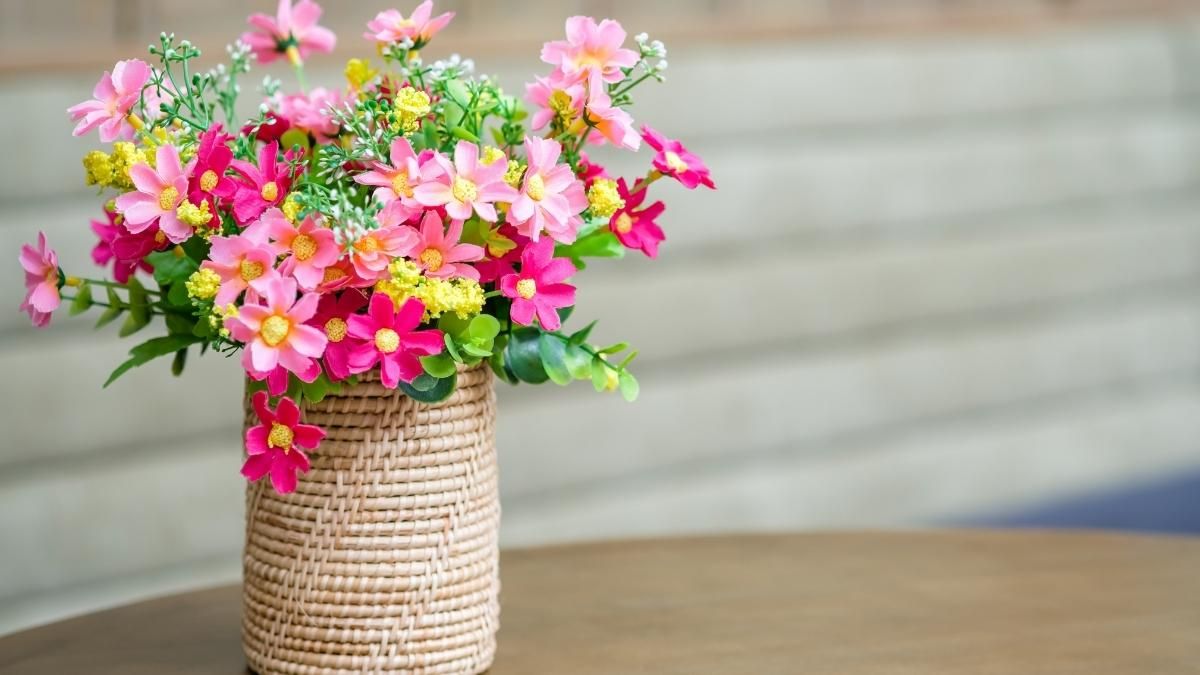 La sal es el mejor aliado para la limpieza de las flores. La sal es el mejor aliado para la limpieza de las flores.