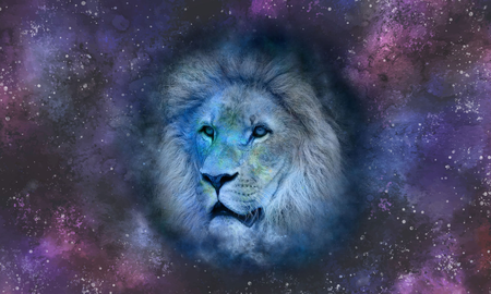 Leo Leo