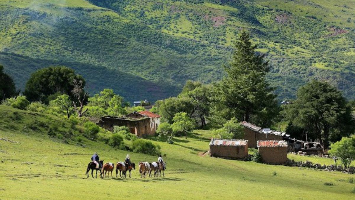 Escapada a Alto Calilegua, el destino perfecto para una aventura Escapada a Alto Calilegua, el destino perfecto para una aventura