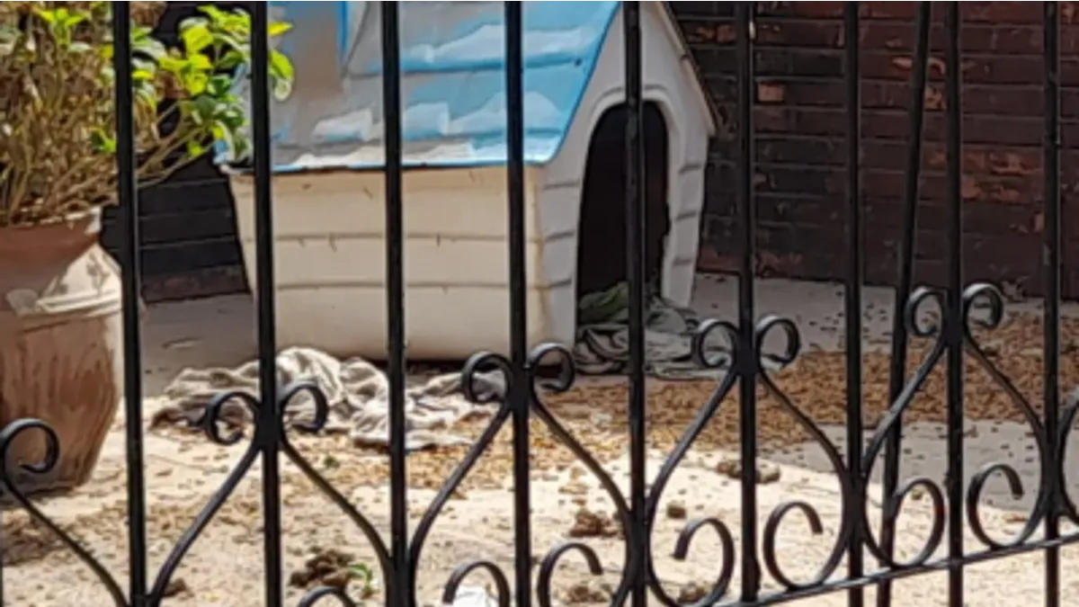 La víctima tenía cinco perros (Foto: gentileza Maracodigital).