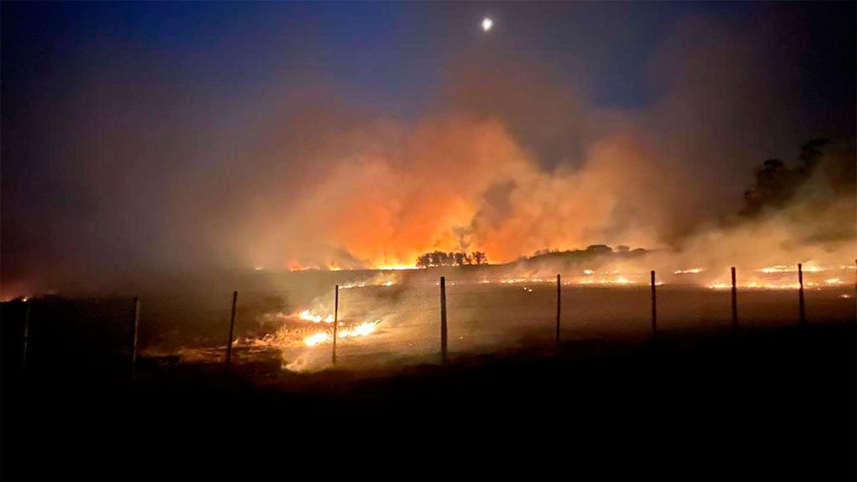 Más de 300 bomberos continúan combatiendo el fuego