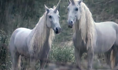 Los unicornios existieron y un fósil lo demuestra. Los unicornios existieron y un fósil lo demuestra.