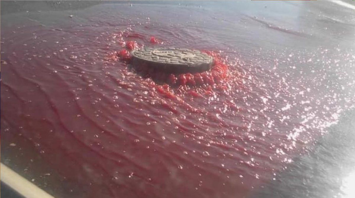 Vecinos intrigados por líquido rojo que emana de alcantarilla y aseguran que se trata de sangre
