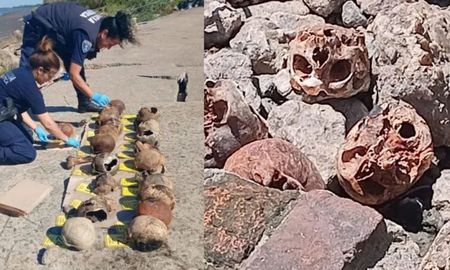 Cráneos humanos encontrados en una playa de Quilmes, en la costa del Río de la Plata. Cráneos humanos encontrados en una playa de Quilmes, en la costa del Río de la Plata.
