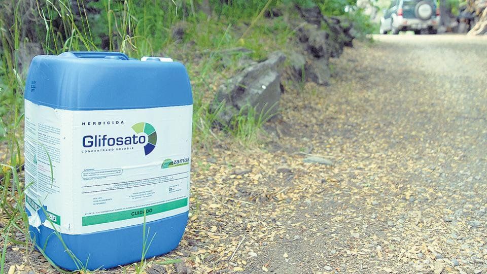 Glifosato: Corral vetó parcialmente la ordenanza