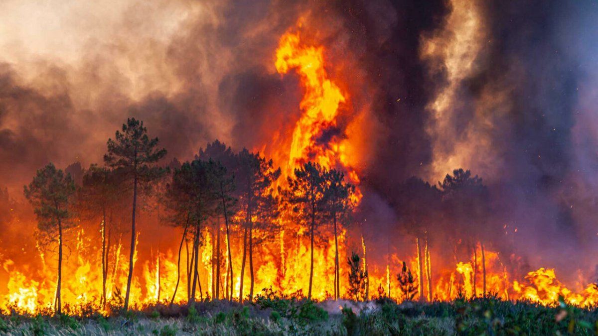 Francia recibe ayuda europea para enfrentar los incendios que arrasan miles de hectáreas.
