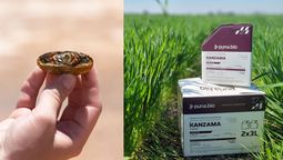 puna bio llega expoagro 2026 con biotecnologia extremofila para trigo y soja