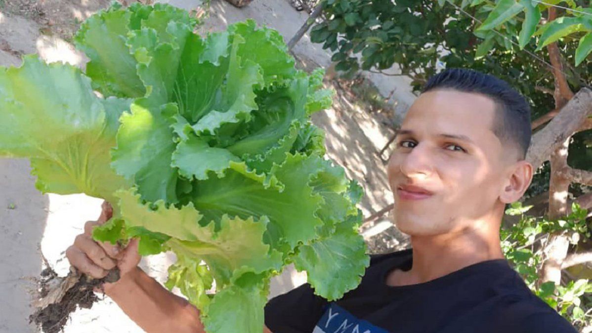 Video viral: joven enseñó a sembrar vegetales en casa.