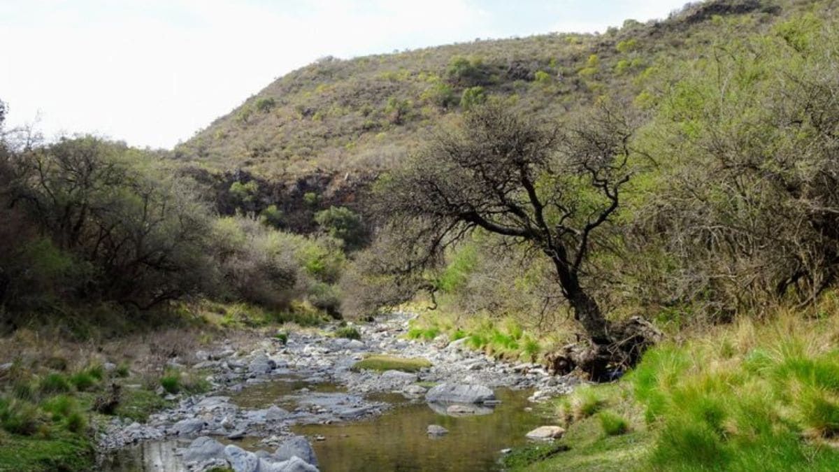 Ambul combina atractivos culturales y naturales en un entorno ideal para el descanso y la conexión con la naturaleza. Ambul combina atractivos culturales y naturales en un entorno ideal para el descanso y la conexión con la naturaleza.