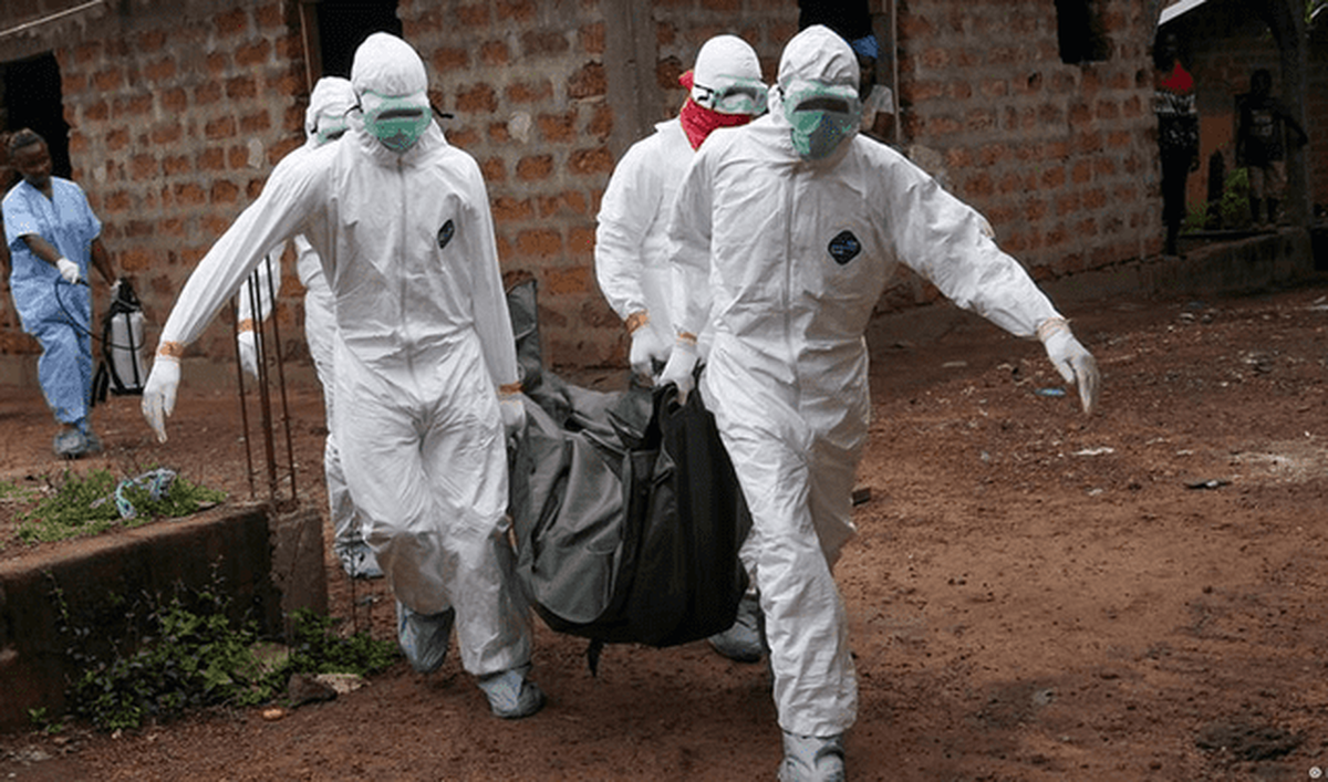 Precaución: la OMS advierte por el virus de Marburgo