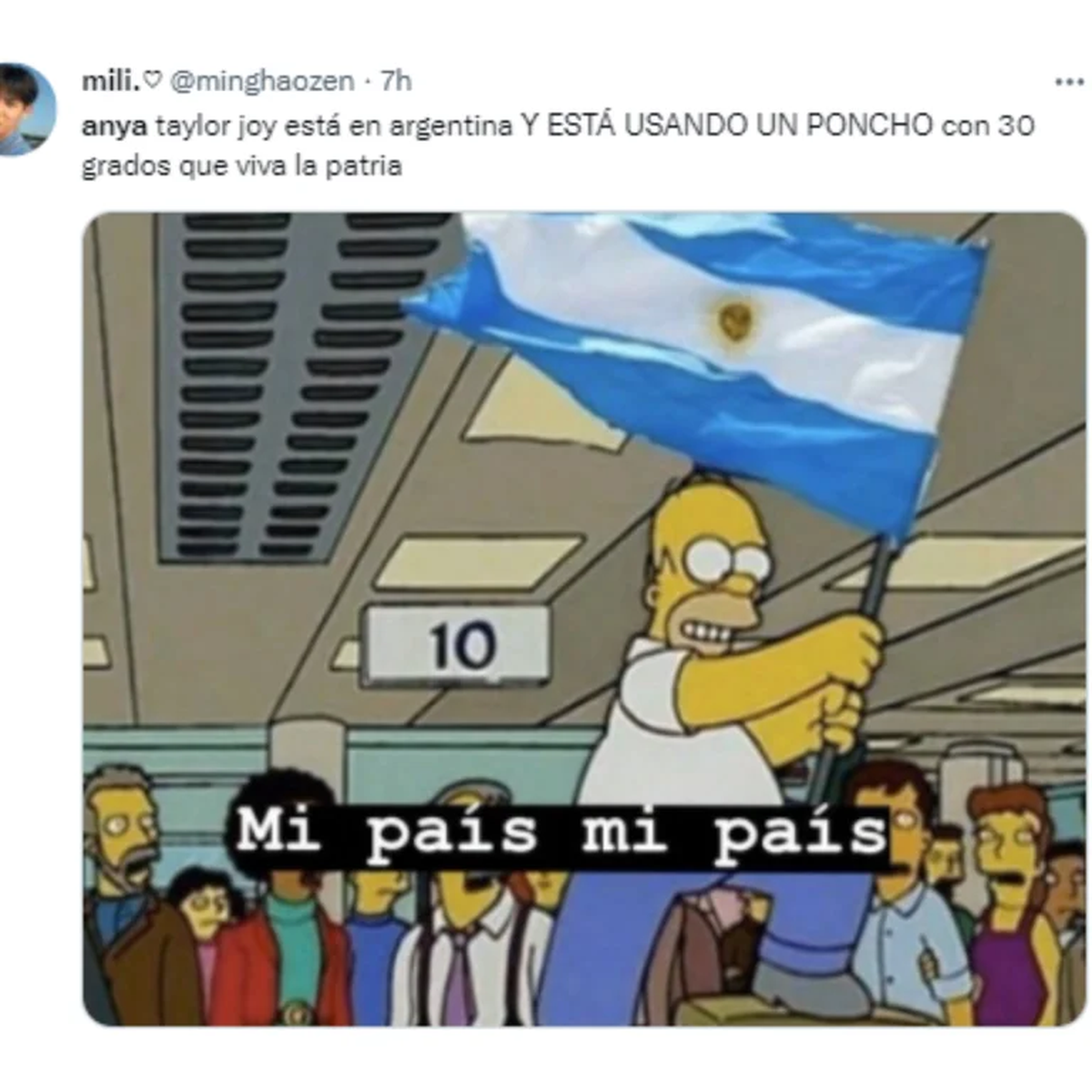 Los memes de la visita de Anya Taylor-Joy a la Argentina.