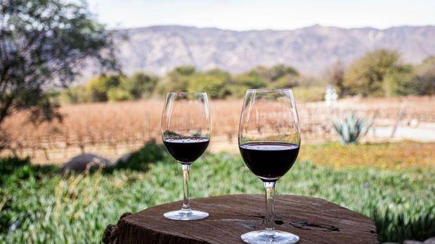 Aire de Santa Fe | Viñedos en altura en Cachi provincia de Salta