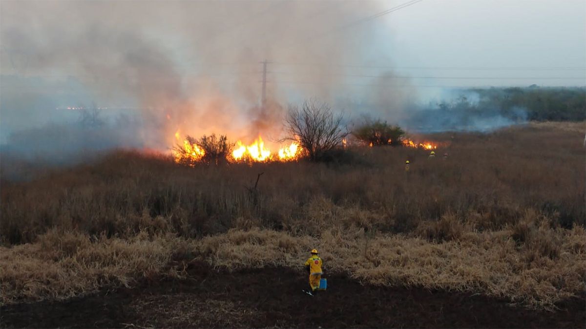 Los diferentes focos &iacute;gneos que se registraron provocaron una gran columna de humo que afect&oacute; la circulaci&oacute;n sobre el Puente Carretero.