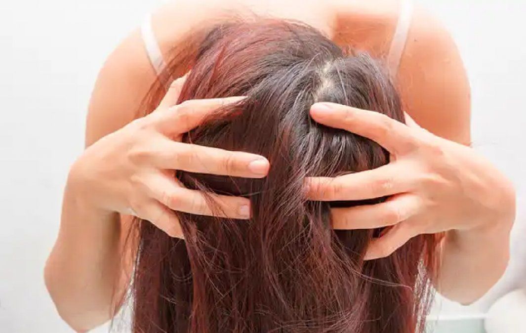3 preparados con romero para cuidar tu cabello