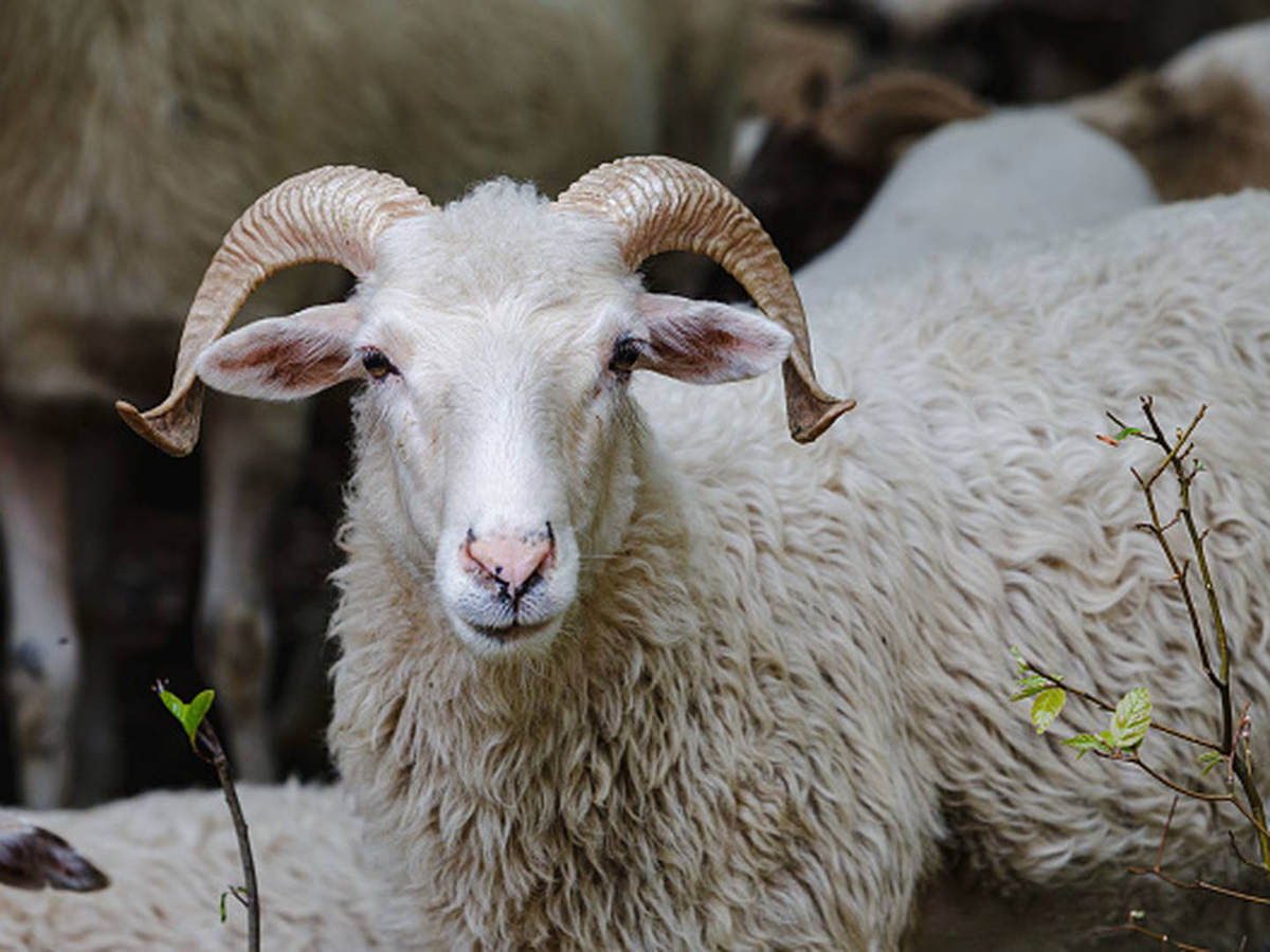 El culpable de la muerte de la mujer ya se encuentra cumpliendo su condena en una prisión de Sudán del Sur