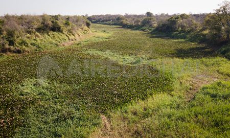 Aire de Santa Fe | Reserva Parque provincial Cayasta_DJI_0046_MTH.jpg