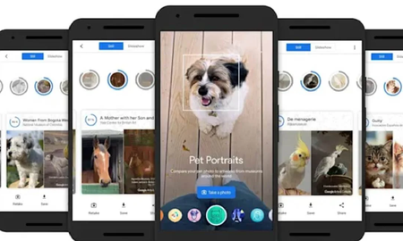 La app para encontrar el doble de tu mascota en obras de arte que es furor La app para encontrar el doble de tu mascota en obras de arte que es furor