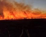 un incendio consumio mas de 400 hectareas de pastizales en baradero un incendio consumio mas de 400 hectareas de pastizales en baradero