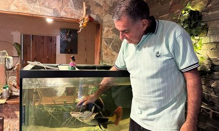 Gordo es un pez gato de cola roja, una especie originaria del Amazonas que creció en una casa de Santa Fe. Gordo es un pez gato de cola roja, una especie originaria del Amazonas que creció en una casa de Santa Fe.