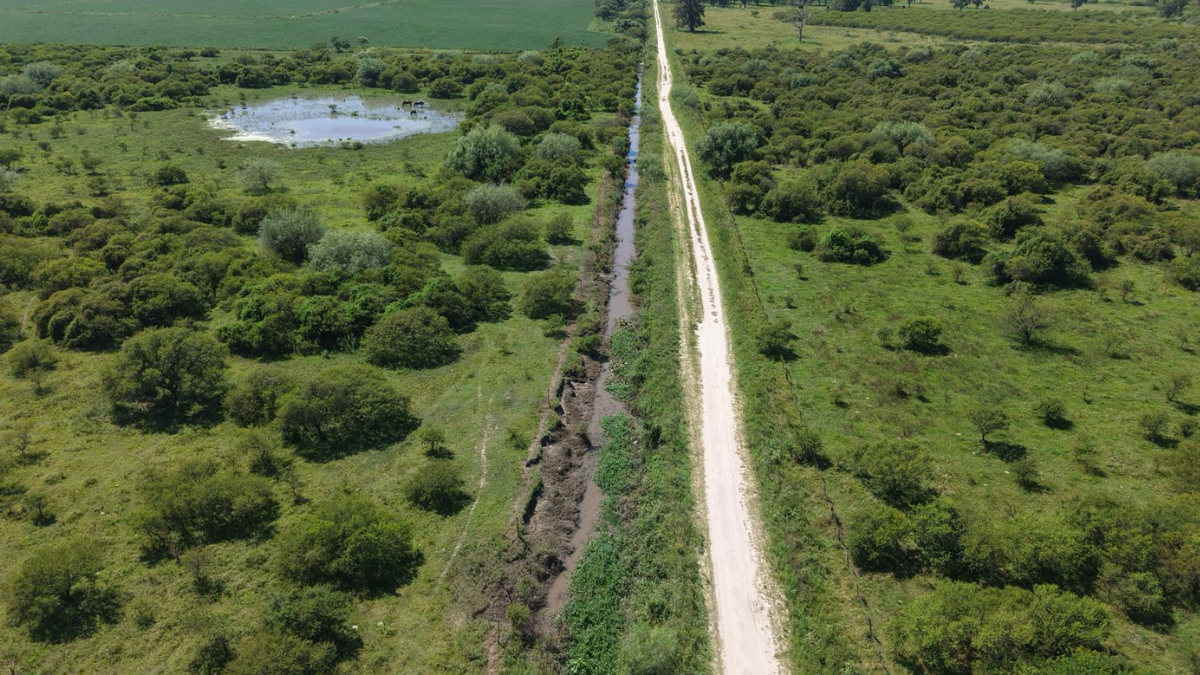La intervenci&oacute;n que desarrolla la Provincia en los canales Colectores 3 y 4 incluye tareas de desmalezamiento y remoci&oacute;n de sedimentos.