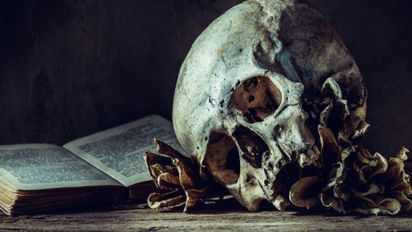 Descubrí el terror contemporáneo: tres libros de Halloween que no podés dejar de leer