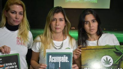 El rol de las mujeres en la lucha por el cannabis medicinal: 