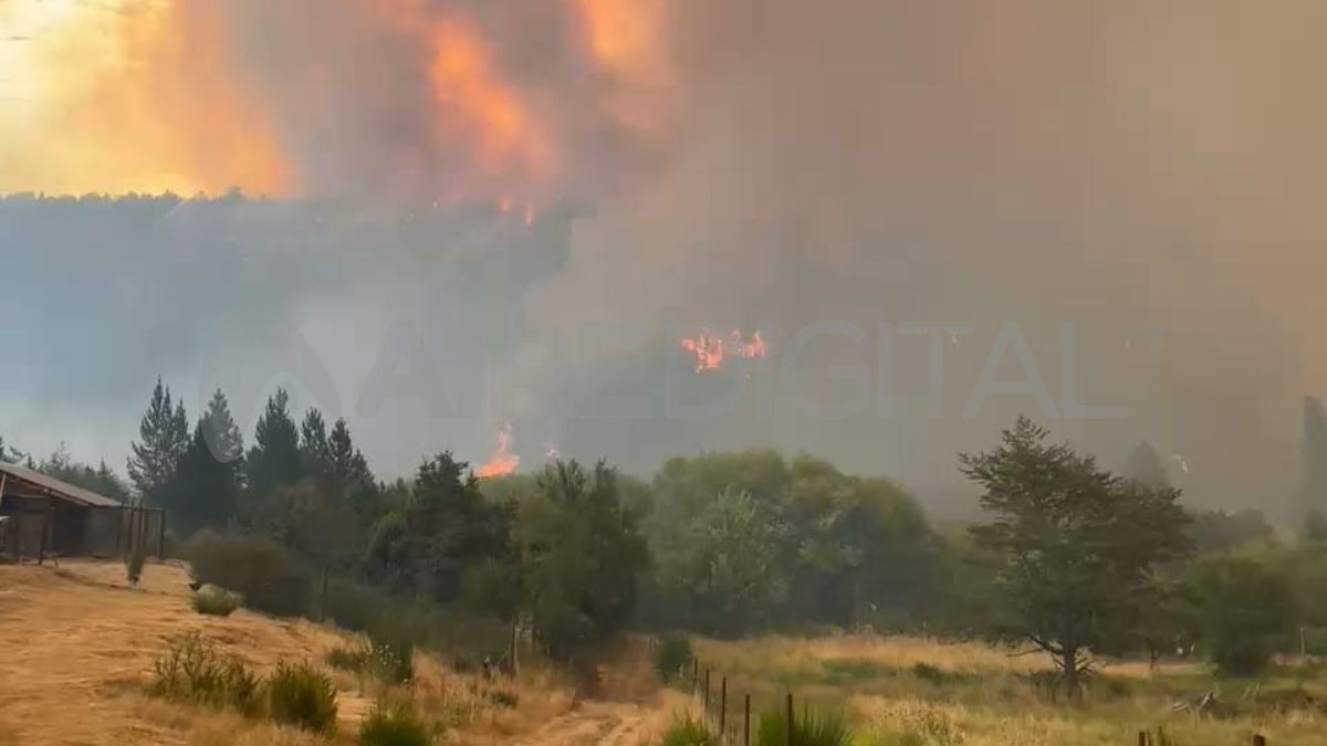Incendios en El Bolsón: el fuego sigue fuera de control y avanza hacia la ciudad