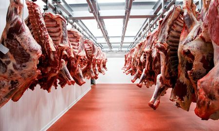 La medida de fuerza fue decretada luego que el gobierno nacional suspenda las exportaciones de carne por 30 días. La medida de fuerza fue decretada luego que el gobierno nacional suspenda las exportaciones de carne por 30 días.
