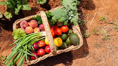 Alimentos de primavera: estas son las frutas y verduras de temporada que debes incluir en tu dieta