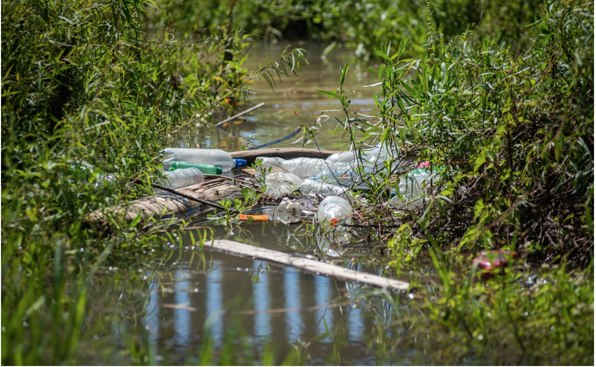 ¿Se puede limpiar una laguna? Aportes de la ciencia ante el drama de la contaminación por plásticos.