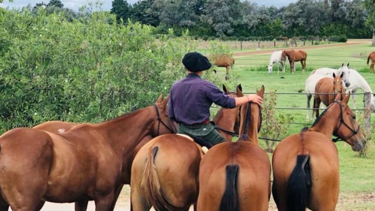 Williams López vía Instagram. Williams López vía Instagram. 