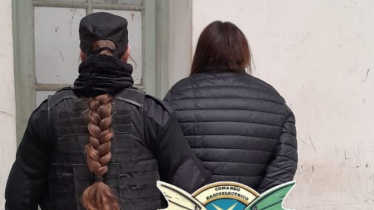 Santa Fe: detuvieron a una mujer por intento de robo