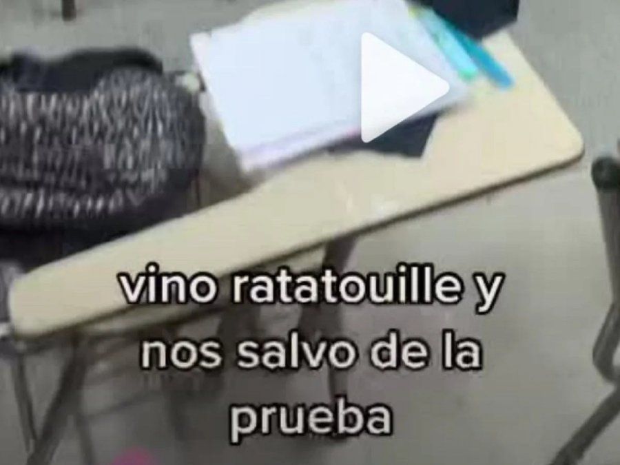 Rata heroína: entró al aula y los salvó de un examen
