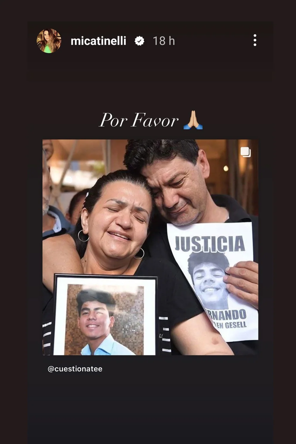 El reposteo del Micaela Tinelli en Instagram pidiendo justicia por Fernando.