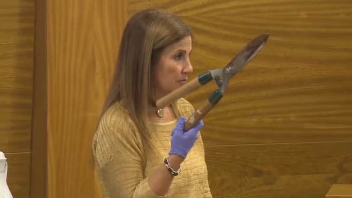 Brenda Barattini atac&oacute; a su amante con una tijera de podar.