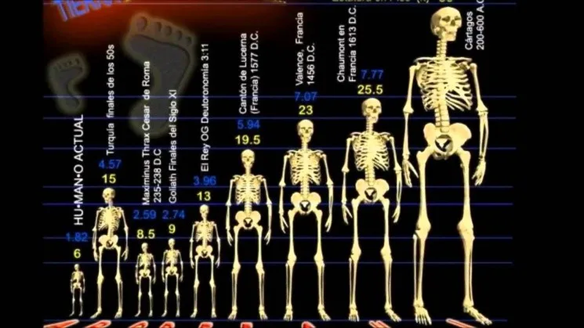 Comparación de los habitantes de aquella región con humanos "comunes" (Twitter).