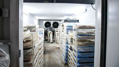 El Ministerio de Ambiente de Santa Fe reforzó controles para Semana Santa y sancionó a frigoríficos pesqueros