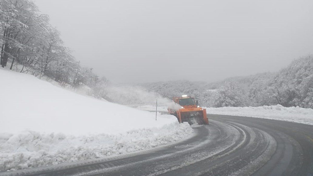 Se reabre el paso Cardenal Samoré en la Frontera con Chile.