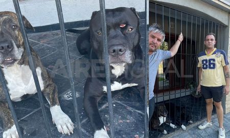 Kenai y Black, los héroes en la violenta entradera del barrio Guadalupe Oeste Kenai y Black, los héroes en la violenta entradera del barrio Guadalupe Oeste
