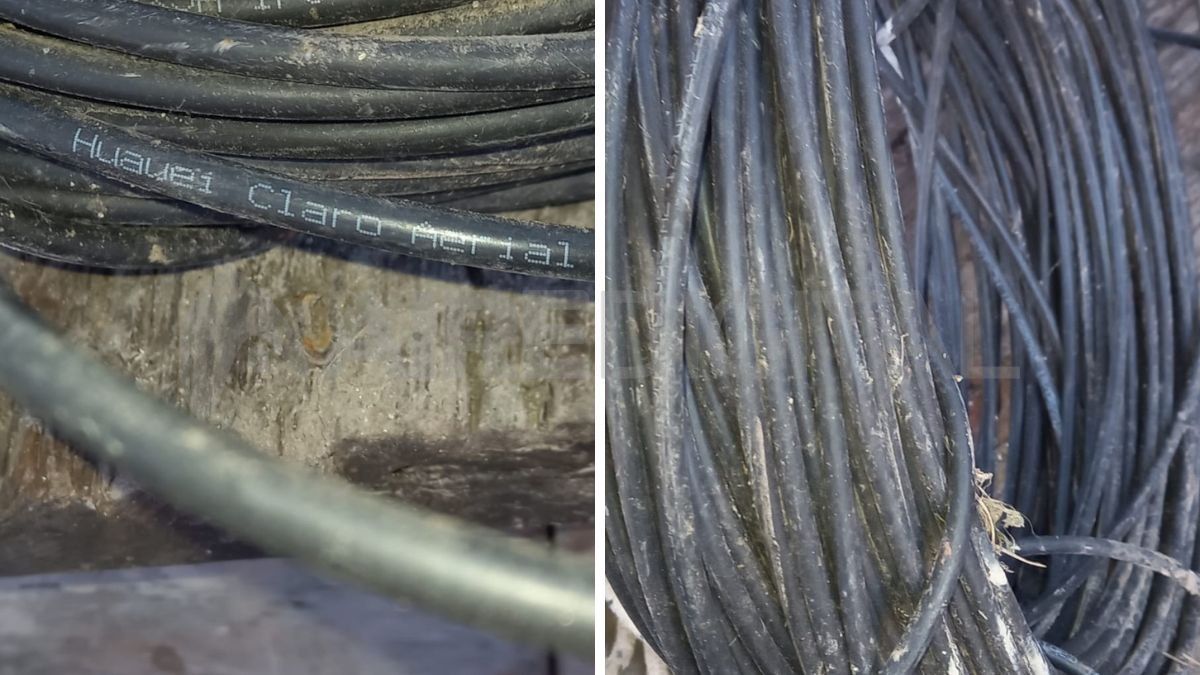 Los efectivos incautaron 200 metros de cables. Los efectivos incautaron 200 metros de cables.