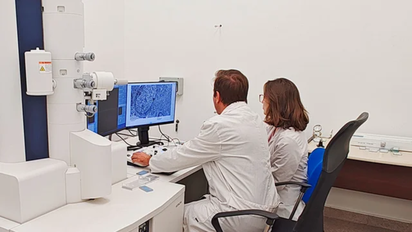 Se conoció un hallazgo clave de científicos argentinos para frenar tumores cerebrales resistentes