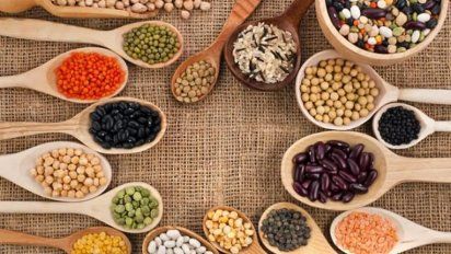 ¿Qué alimentos podemos consumir para incorporar proteína vegetal?