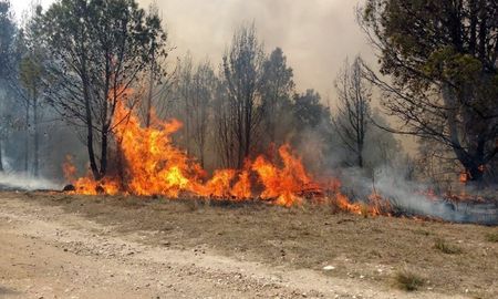 En Jujuy permanecían activos focos de incendio en las localidades de Ledesma y Palpalá. En Jujuy permanecían activos focos de incendio en las localidades de Ledesma y Palpalá.