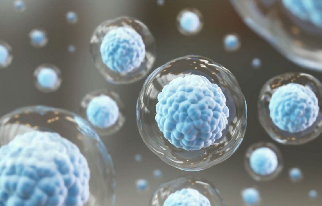 3 alimentos para reforzar nuestro sistema inmune