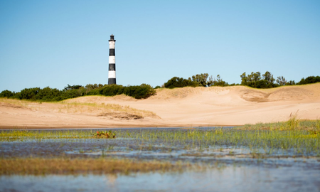 ni miramar ni pinamar: la playa que esta dentro de un tranquilo bosque frente al mar ni miramar ni pinamar: la playa que esta dentro de un tranquilo bosque frente al mar